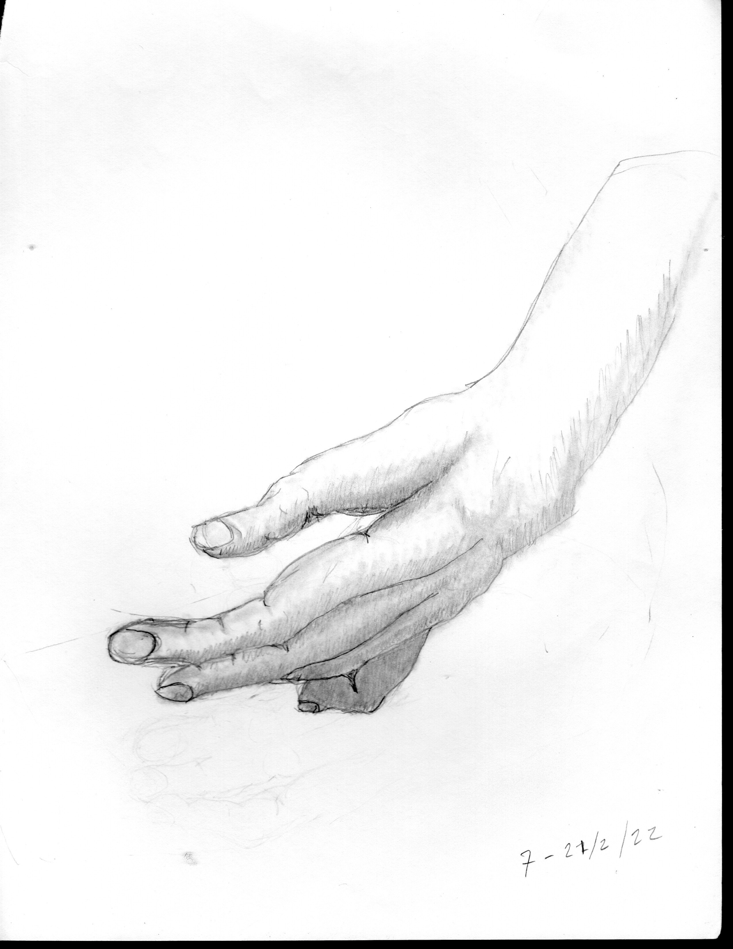 Hand Study #3